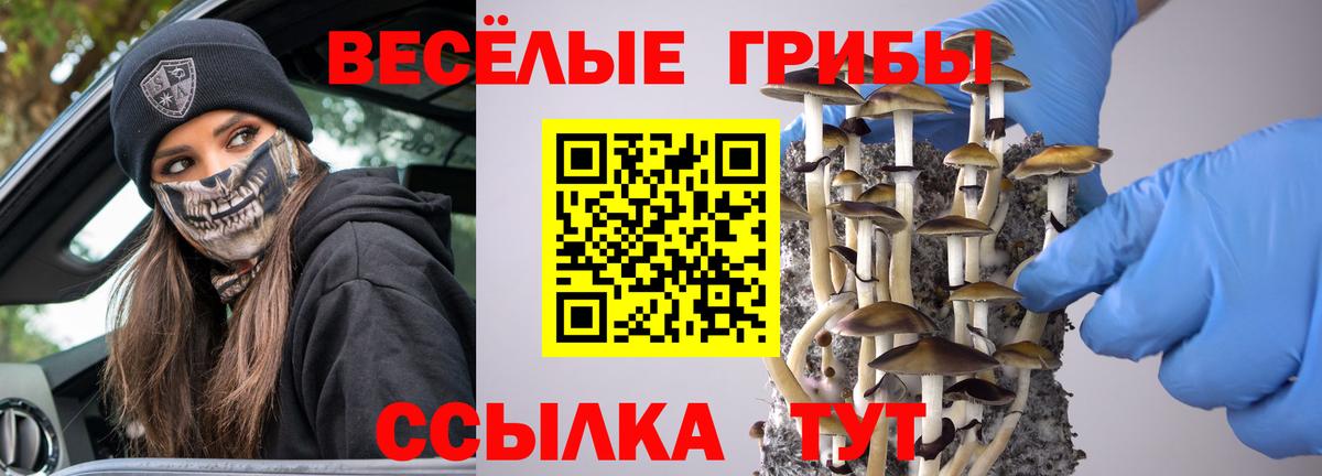 Псилоцибиновые грибы ЛСД Строитель
